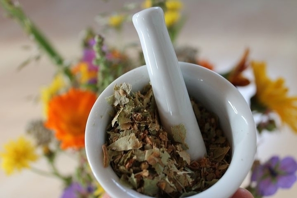 naturopathy page resized naturopathy page resized