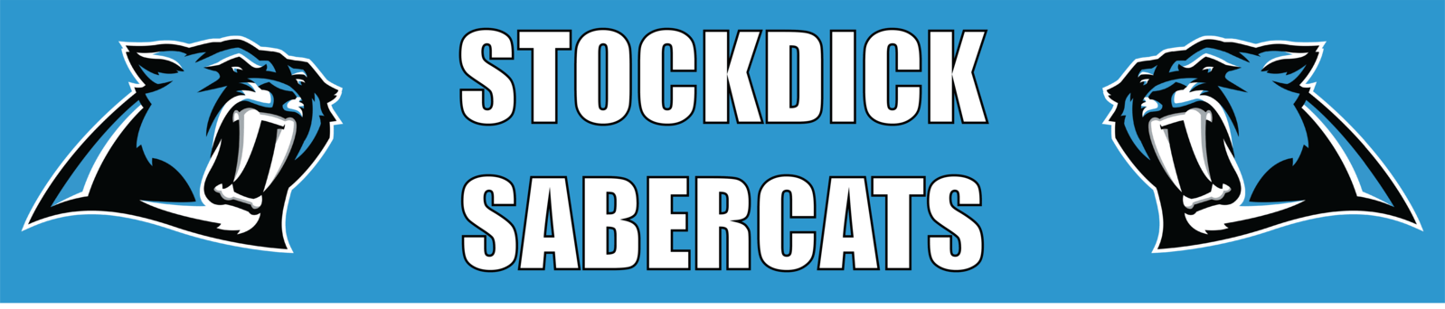 stockdick_sabercats_spirit_store