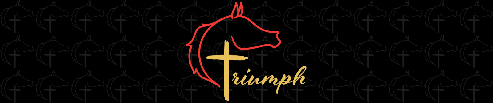 triumph_training_spirit_store