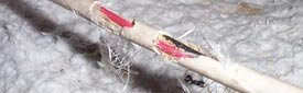 Chewed wires from mouse damage