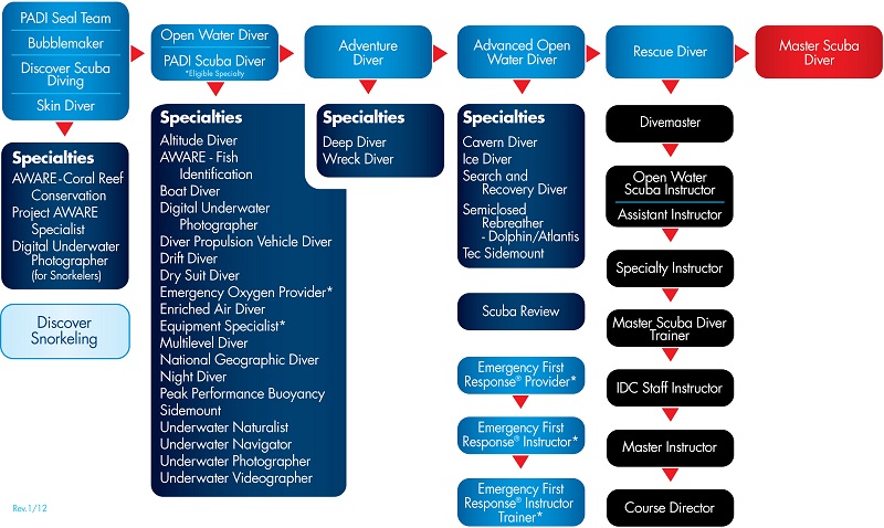 PADI Scuba Diving Certifications Roadmap
