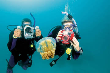 Dive More, Have More Fun ... become a PADI Digital Underwater Photographer Instructor