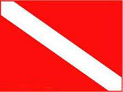 North America Dive Flag