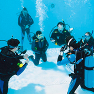 Start Training Dive Professionals ... become a PADI IDC Staff Instructor
