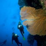 Dive More, Have More Fun ... become a PADI Deep Diver Specialty Instructor
