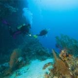 Dive More, Have More Fun ... become a PADI Deep Diver Specialty Instructor