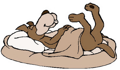 Dog sleeping