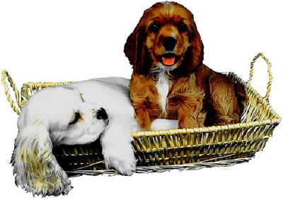 Dogs in a basket