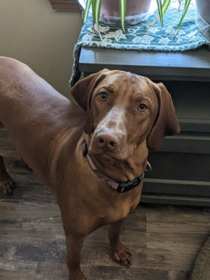 Braylee1.png400x400