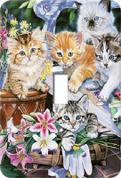 Tools & Home Improvement Double Outlet Wall Plate/Panel Plate/Cover Decoration W Tools & Home Improvement Double Outlet Wall Plate/Panel Plate/Cover Decoration W