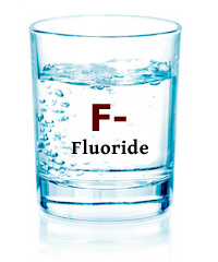 filterwaterdotcom