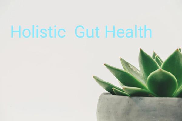 holistic gut health.jpg600x400