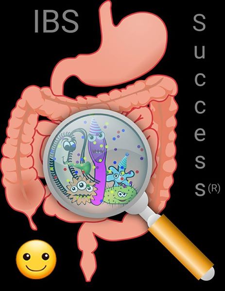 ibs success smileys ibs success smileys