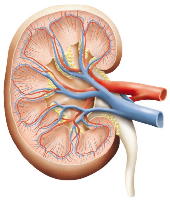 medicalnewstoday medicalnewstoday