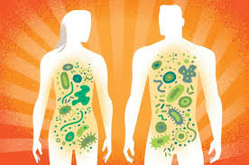 microbiomeimageNYTIMES
