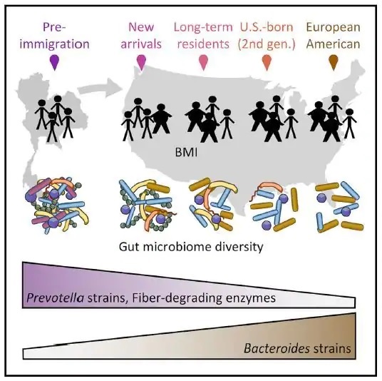 washington post gut bacteria