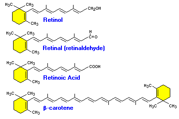 vitamina