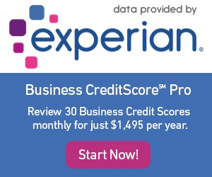 business-credit-pro-banner-300x250