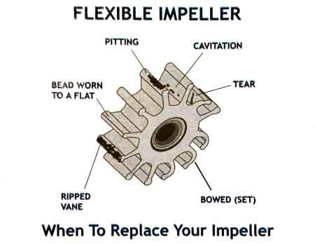 Flexible-Impeller-Problems