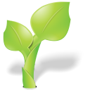 Health and Wellness Web Design