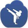 Martial Arts Web Design