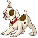 Pet Supply Web Design