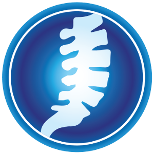 Chiropractor Web Design