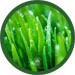 Novi Lawn Fertilization