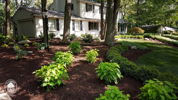 Featured Landscape - Plymouth, Michigan