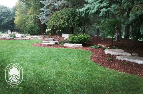 DAAlexander 151.jpg500x500