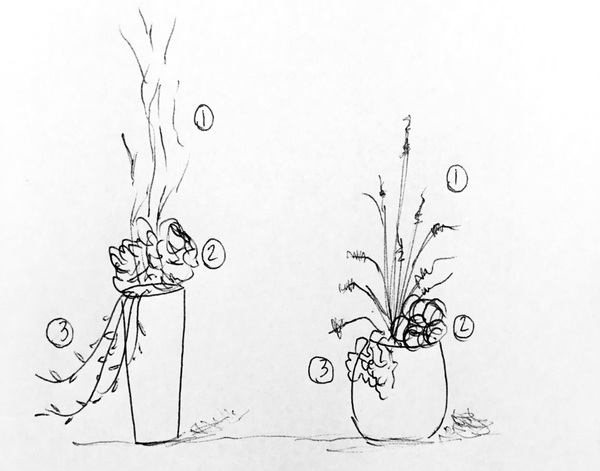 planters diagram2.jpg600x800
