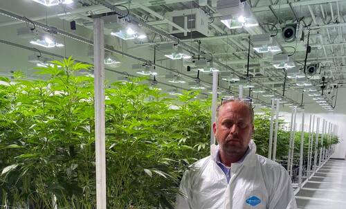 Cannabis-Security-Services.jpg500x500