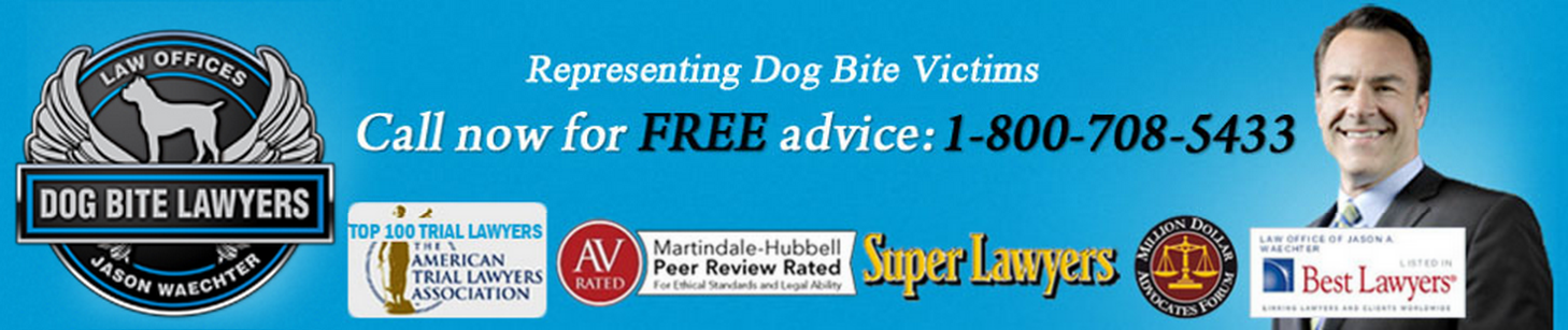 Dog Bite Lawyers