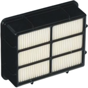 Filter, Hoover- Exhaust, UH72011 Elite Max- Pleated*