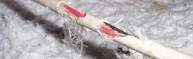 Chewed wires from mouse damage