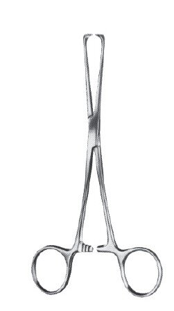 Allis Adair Fcps 6" 10x11 teeth