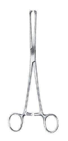 Thoms Tissue Fcps 8" 6x7 teeth