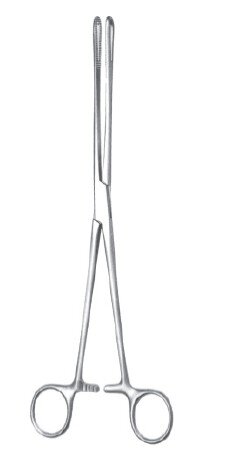 Rampley Sponge Fcps 10" str serr