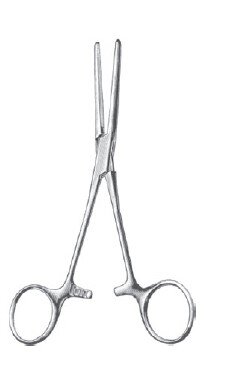 Rochester-Carmalt Fcps 6 1/4" cvd