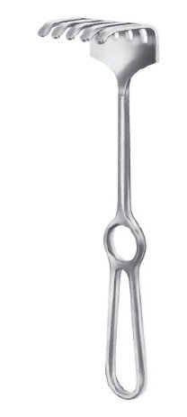 Israel Retr 9 1/2" 3 prgs blunt