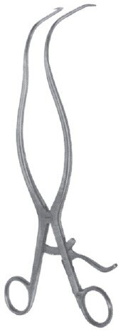 Wiltse Gelpi Retr 11" 1x1
