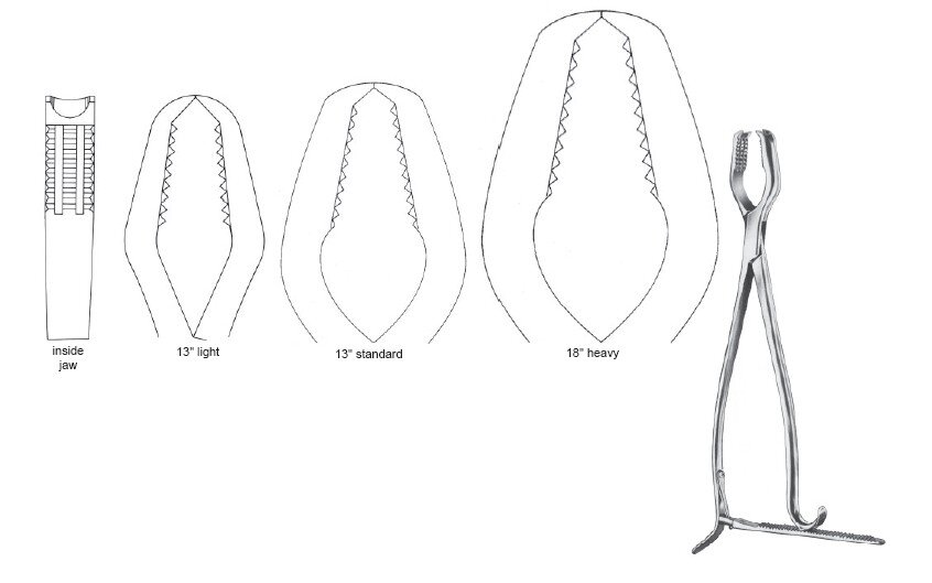 Lane Bone Fcps 13" light w/ratchet