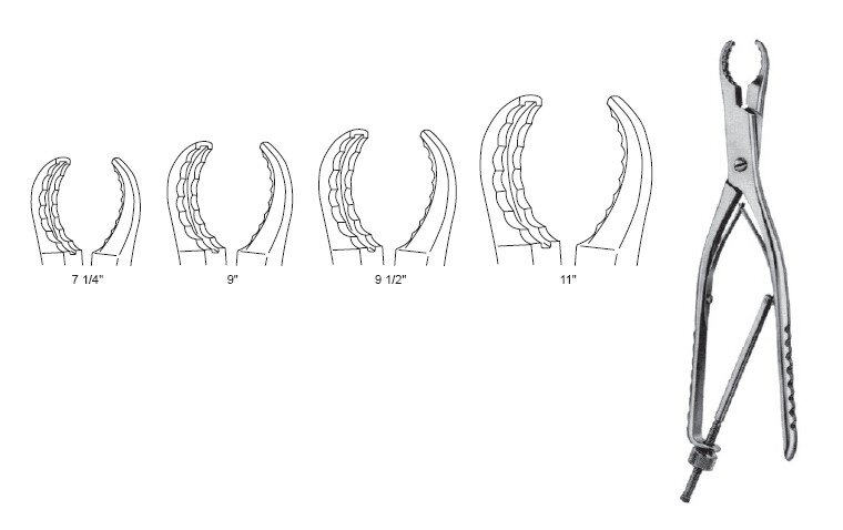 Ulrich Bone Fcps str 11"