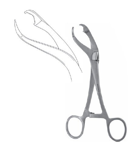 Verbrugge Fcps 7" with ratchet