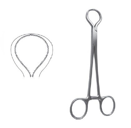 Lewin Bone Fcps 7"