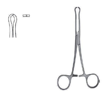 Locke Phalangeal Fcps 6"