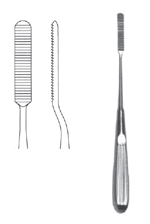 Cottle Rasp 8" 7mm str downcutting serr