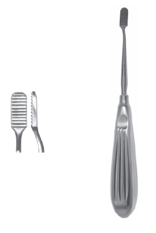 Lewis Rasp 7 1/2" 8mm straight fine serrated