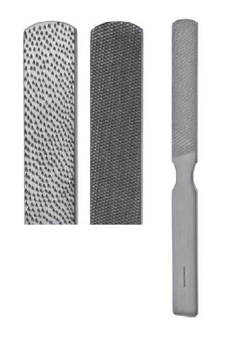 Bone File/Rasp 8 1/2"