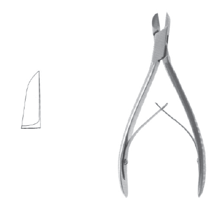 Littauer Bone Fcps 6" str